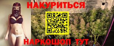 сатива Канаш