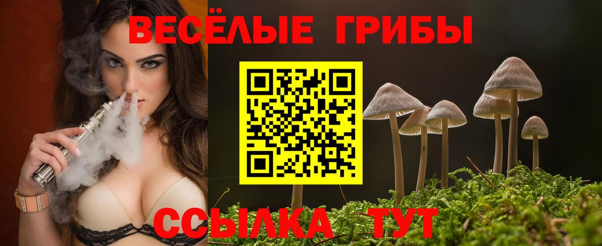 Галлюциногенные грибы MAGIC MUSHROOMS Кудымкар