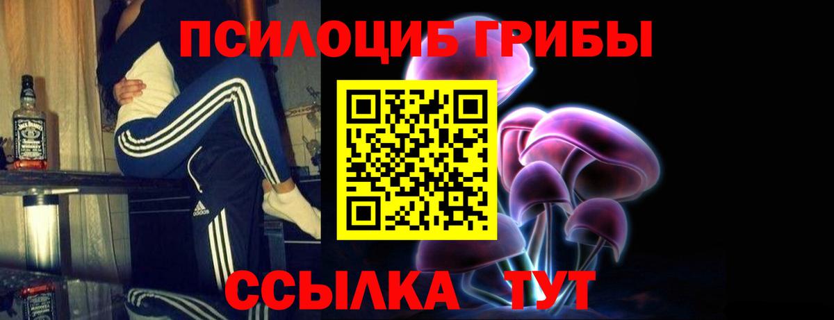 Галлюциногенные грибы Cubensis  Вход с VPN  Псилоцибиновые грибы мицелий  Кудымкар 